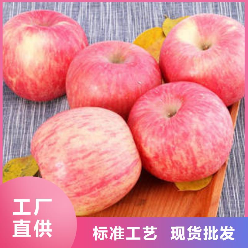 红富士苹果嘎啦苹果厂家供应同城厂家