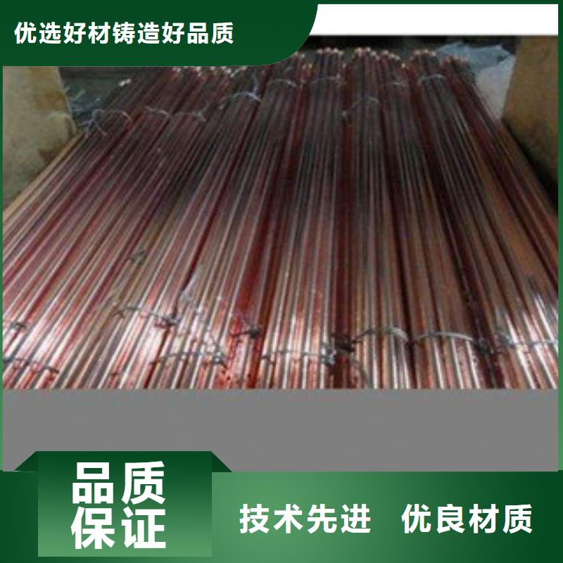 鍍銅扁鋼-（熱鍍鋅）合金H型鋼款式多樣本地經(jīng)銷商