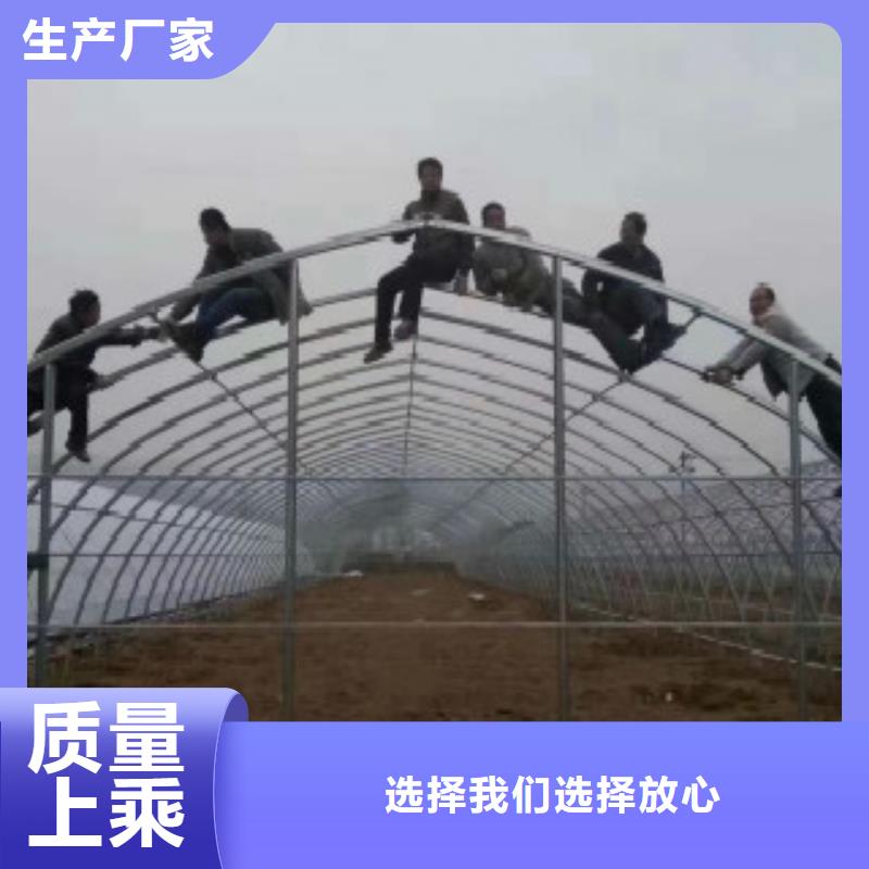 大棚管,Q345D無(wú)縫方管品質(zhì)做服務(wù)當(dāng)?shù)亟?jīng)銷商