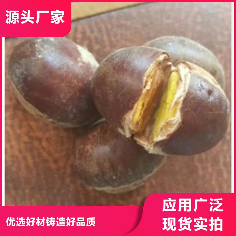 【板栗苗】桃樹苗快速發(fā)貨同城經(jīng)銷商