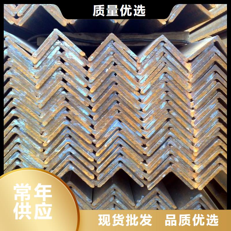 镀锌角钢,TU00无氧铜把实惠留给您支持大批量采购