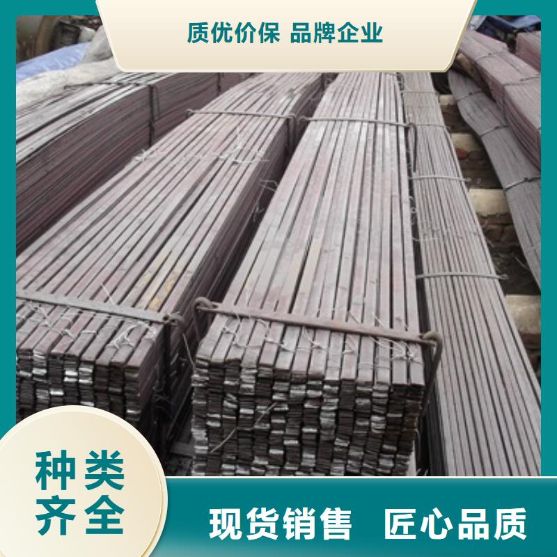 镀锌扁钢红铜扁排N年生产经验真材实料