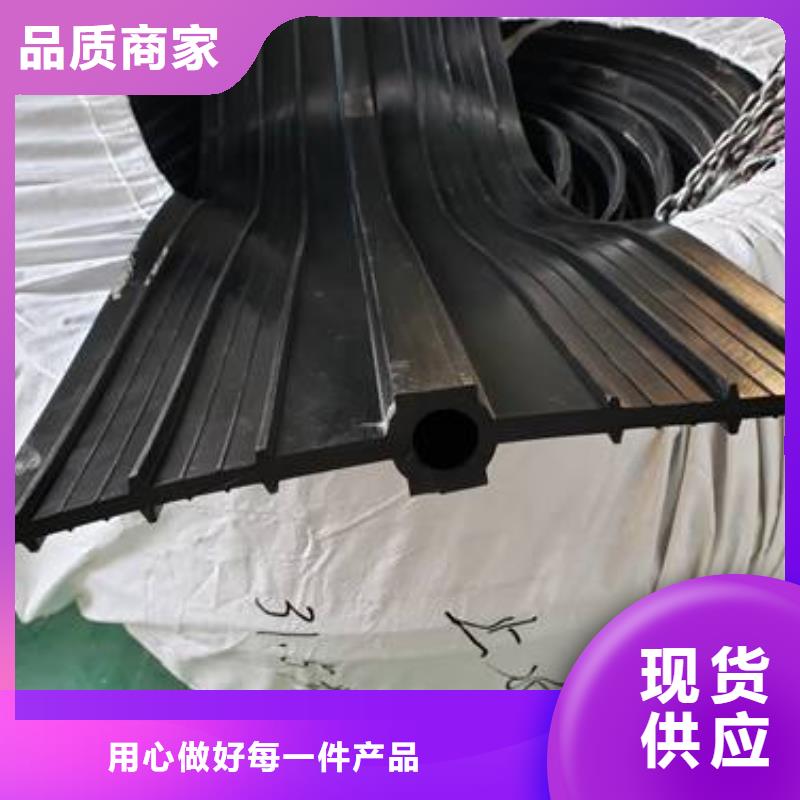 止水帶中埋式橡膠止水帶質(zhì)量上乘服務(wù)周到