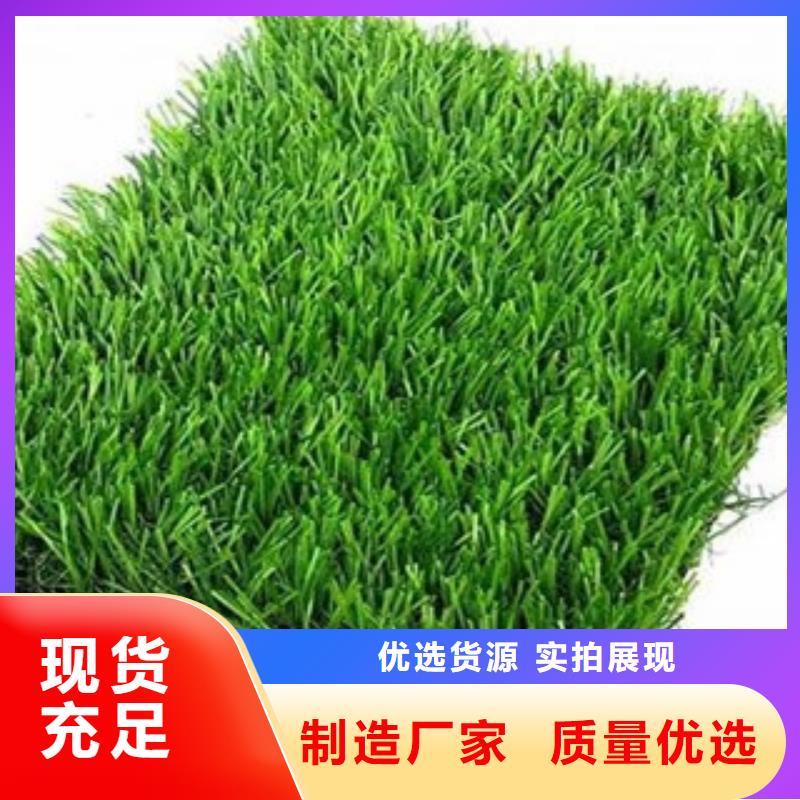 人造草坪-塑胶跑道施工批发价格应用范围广泛