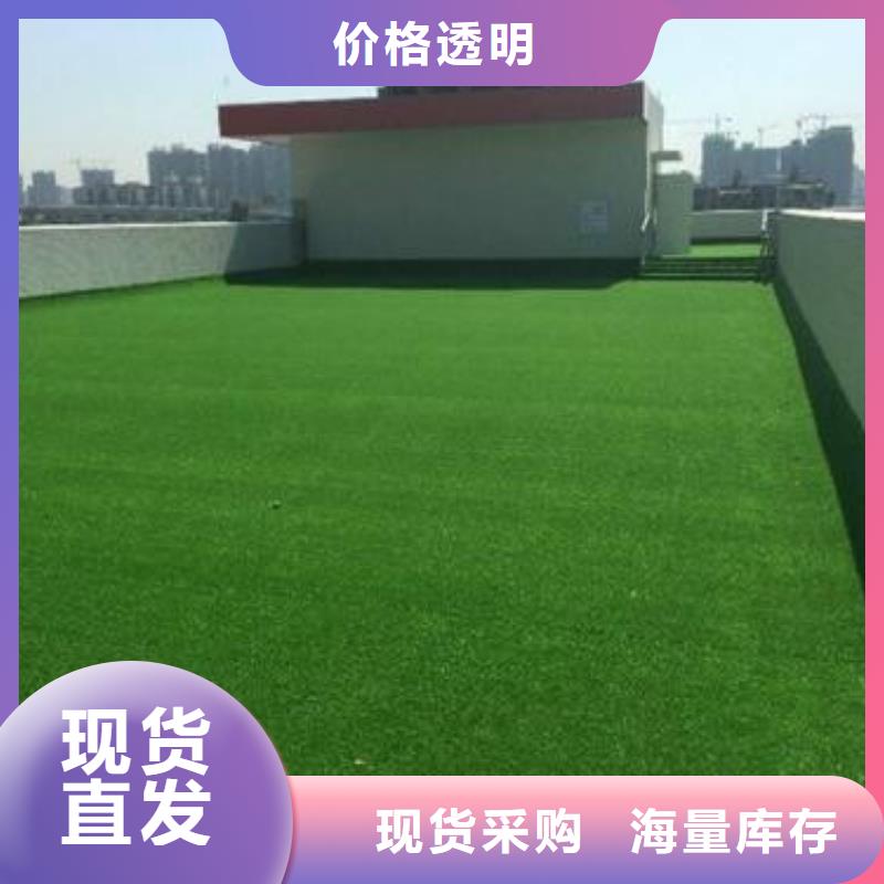 陶瓷颗粒施工当地品牌
