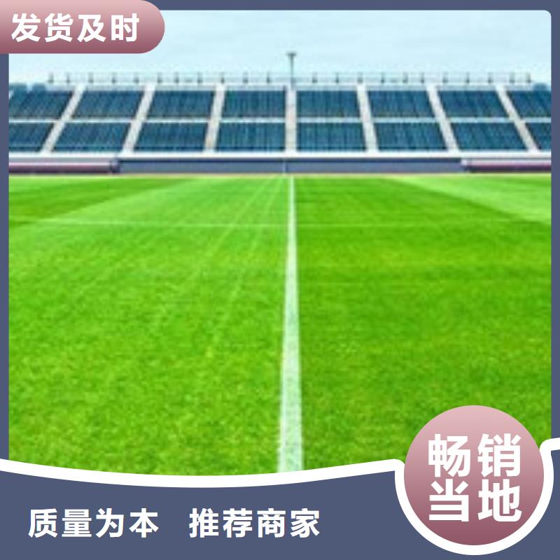 人造草坪室外PU蓝球场厂家同城厂家