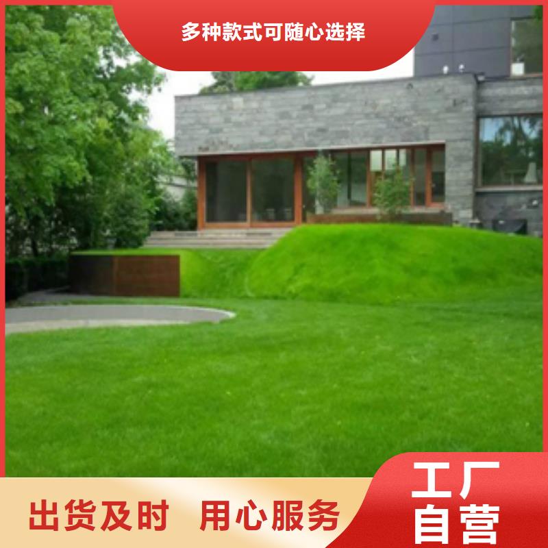 65mn批发价格当地制造商