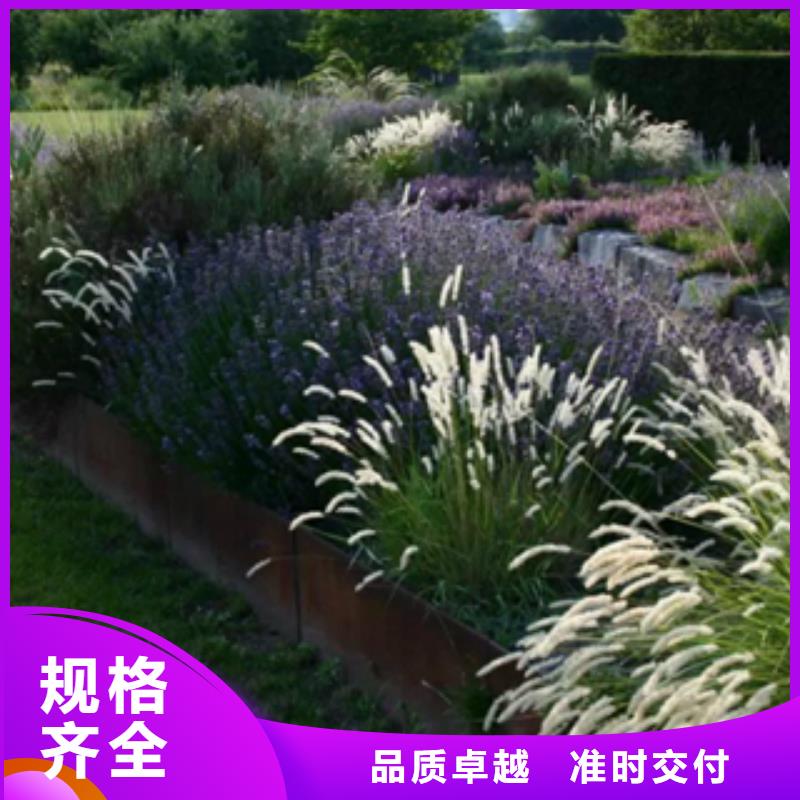 【3锈钢板厂家现货满足大量采购】当地厂家