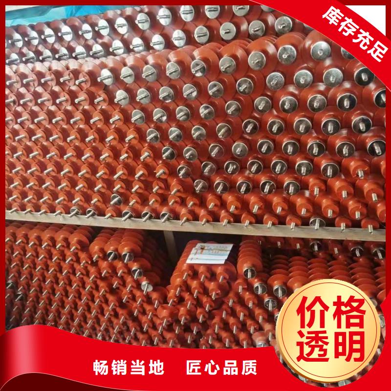 電站型氧化鋅避雷器避雷器HY10WZ-96/250批發(fā)價(jià)甄選好廠(chǎng)家