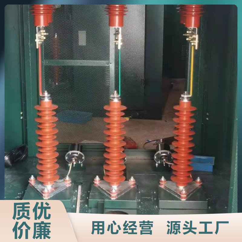 閥式避雷器FZ2-20生產(chǎn)廠家現(xiàn)貨充足量大優(yōu)惠