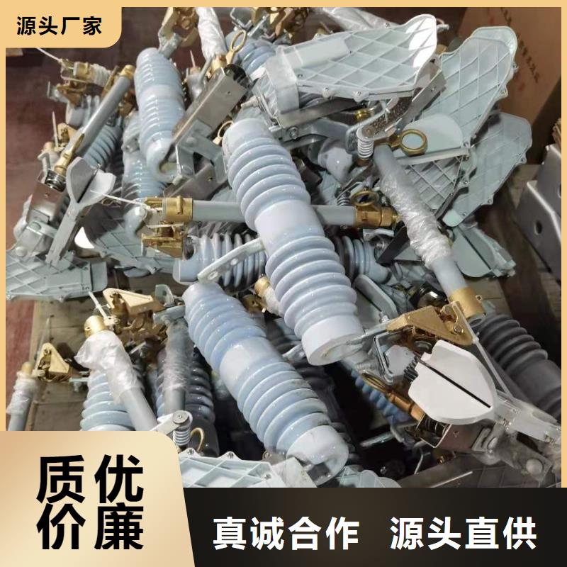 高压跌落式熔断器RW12-11/100A令克保险本地厂家值得信赖