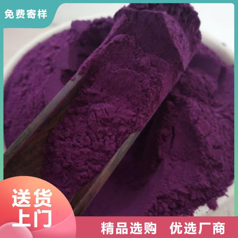 紫地瓜苗厂家价格本地供应商