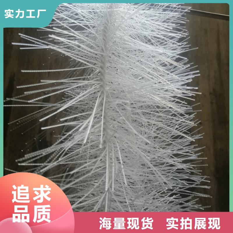 弹性填料_蜂窝活性炭来电咨询同城品牌