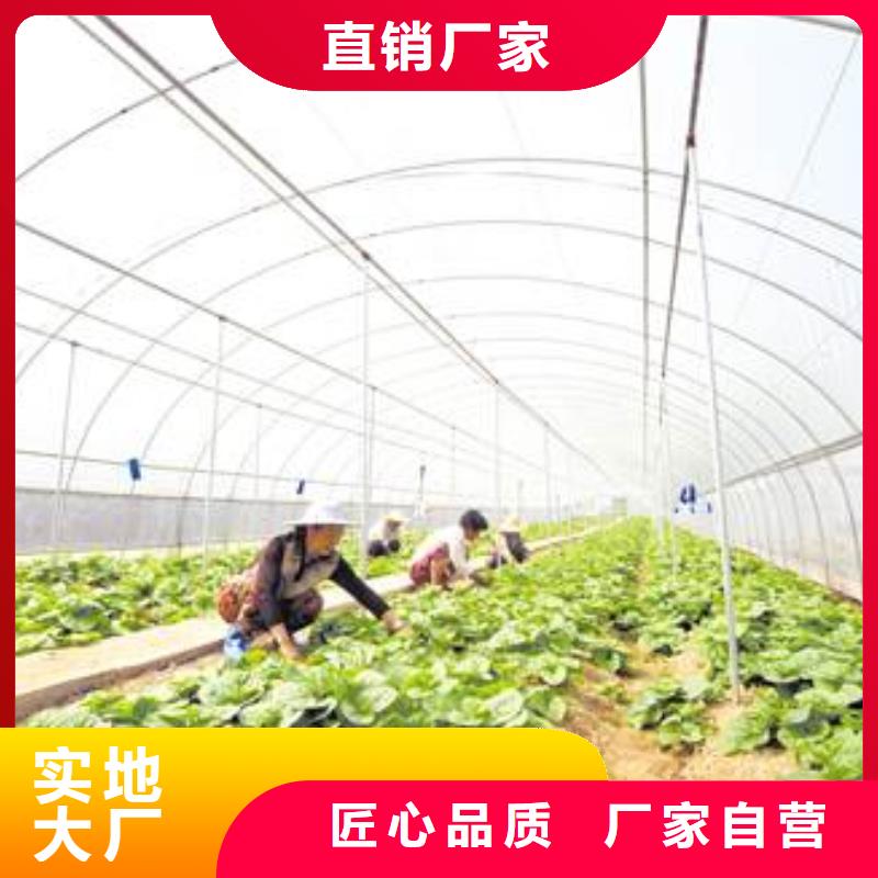 大埔树苗大棚骨架机靠谱厂家2025每一处都是匠心制作