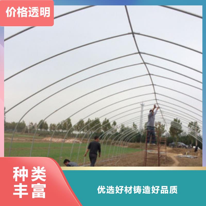 高品質(zhì)大棚骨架免費(fèi)咨詢【當(dāng)?shù)亍抗?></div>
				<div   id=