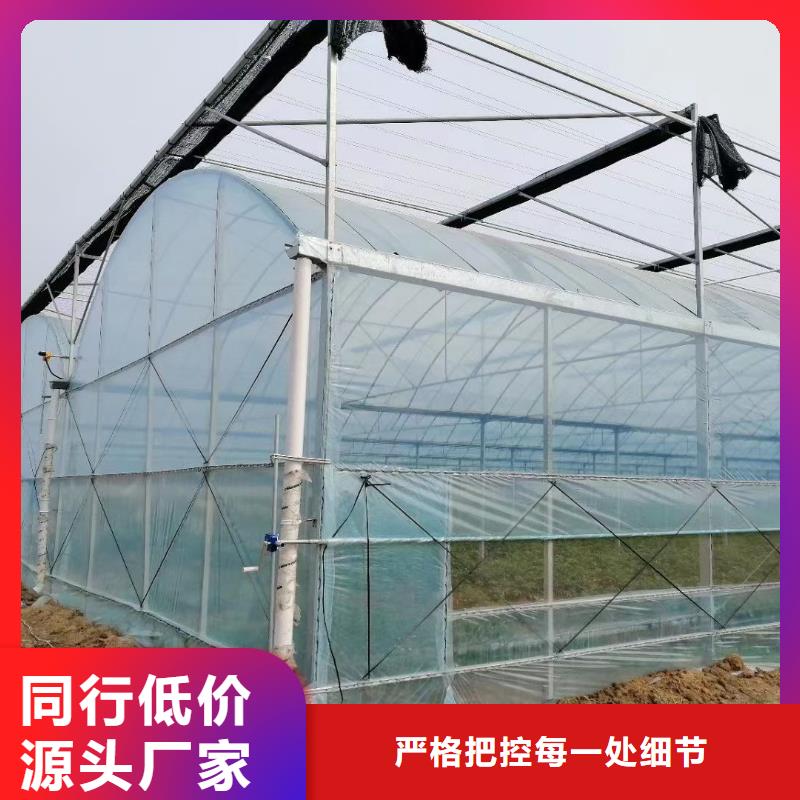 大棚管优质工艺本地品牌