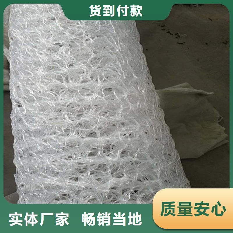 盲溝盲管護(hù)坡土工網(wǎng)精致工藝一站式供應(yīng)廠家