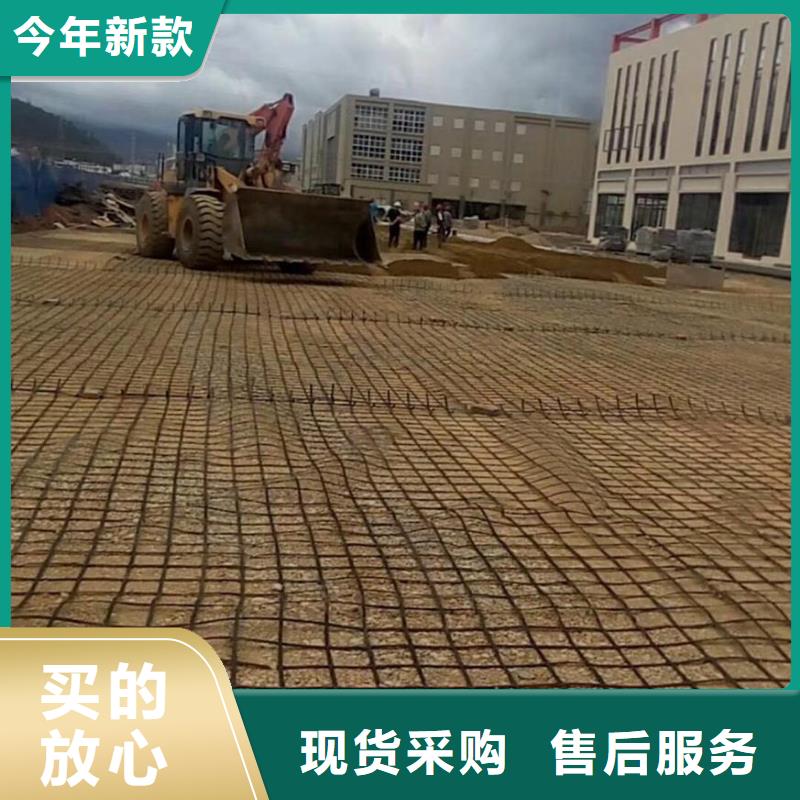【鋼塑土工格柵】_土工格室實時報價本地貨源