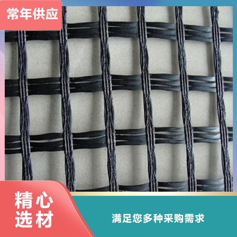 【玻纤土工格栅,【三维土工网垫】厂家定制】同城厂家