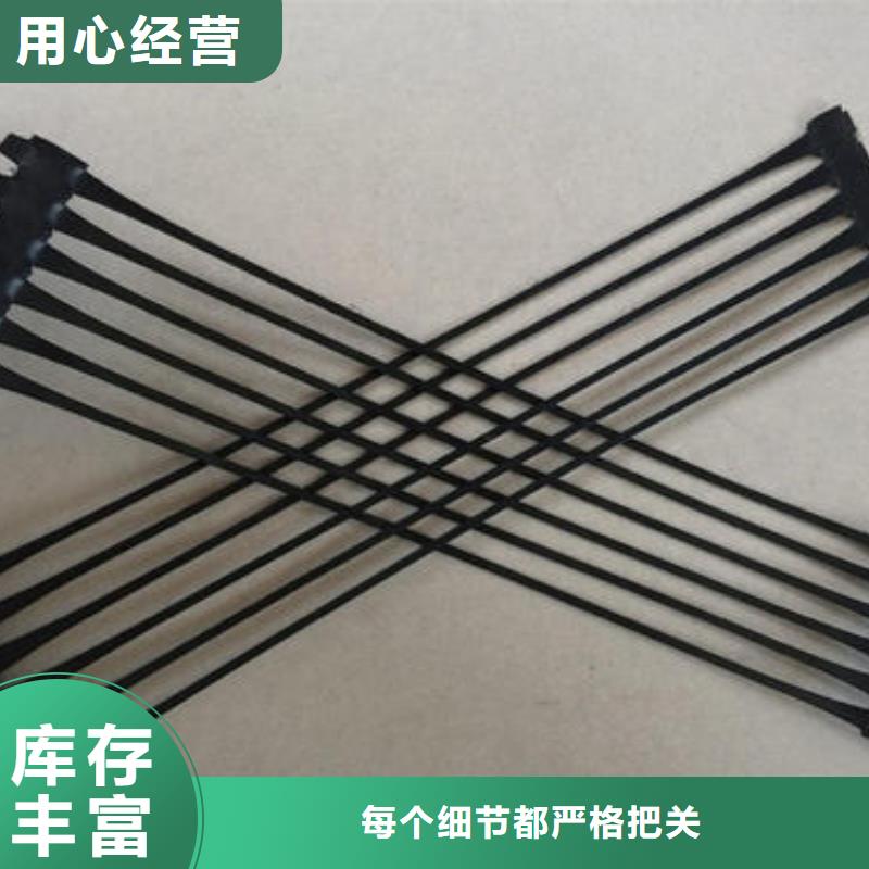 单向塑料土工格栅,【聚乙烯土工膜】欢迎来厂考察厂家直销