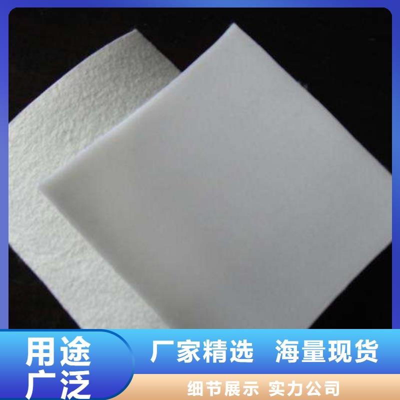 复合土工膜PVC防水卷材满足多种行业需求产地源头好货