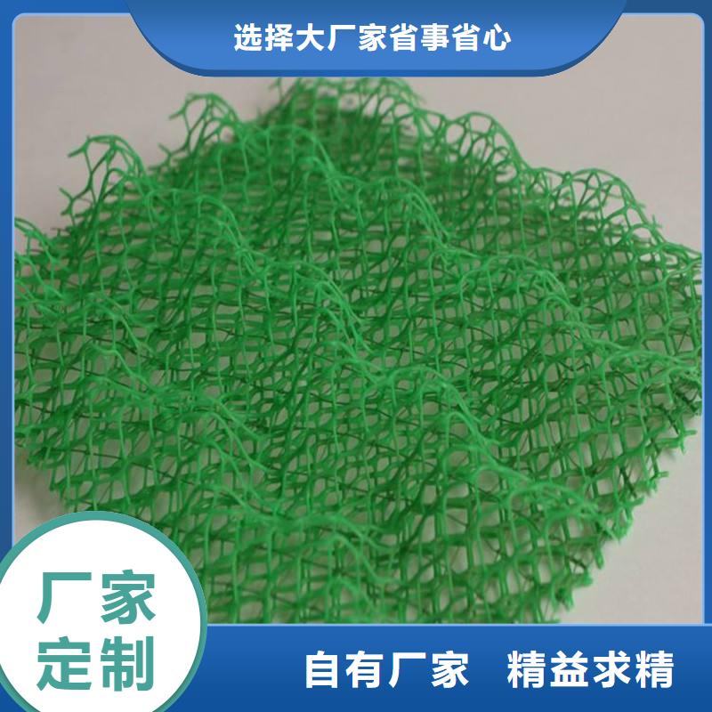 三維植被網(wǎng),PP焊接土工格柵用途廣泛工廠直銷