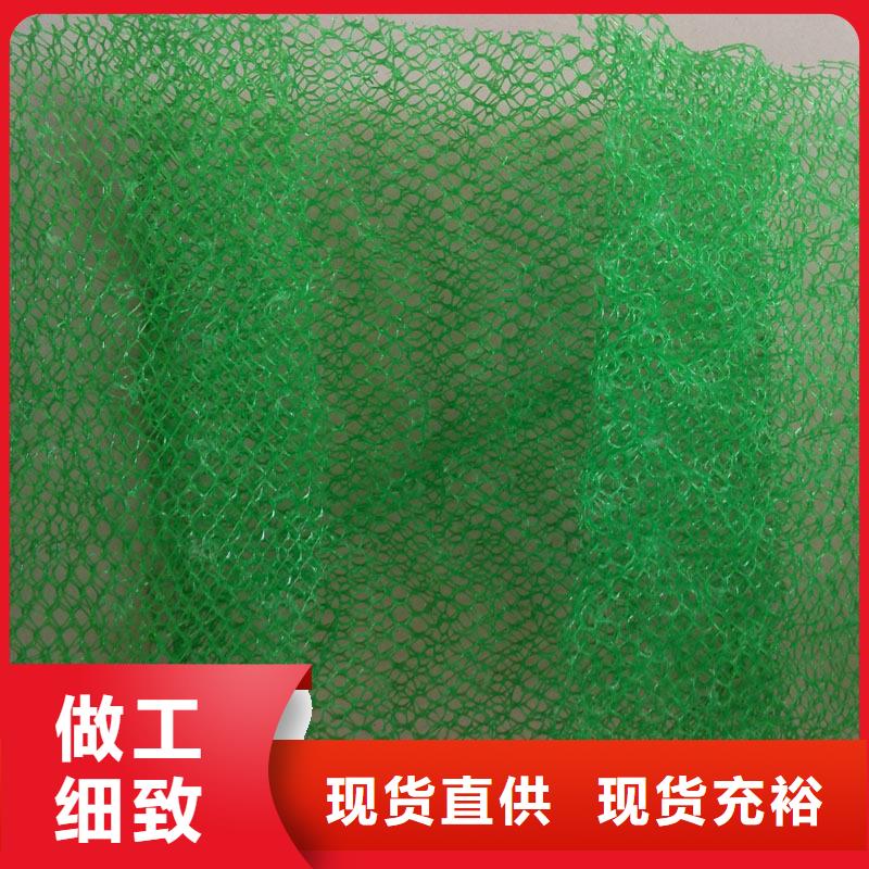 【三维植被网-塑料盲沟质量好】工厂批发