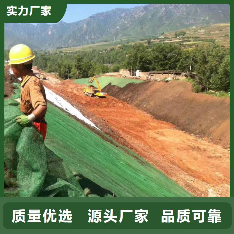 三维植被网防渗膜来图定制货源足质量好