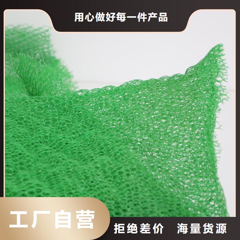 三维植被网【土工格室】定制定做物流配送