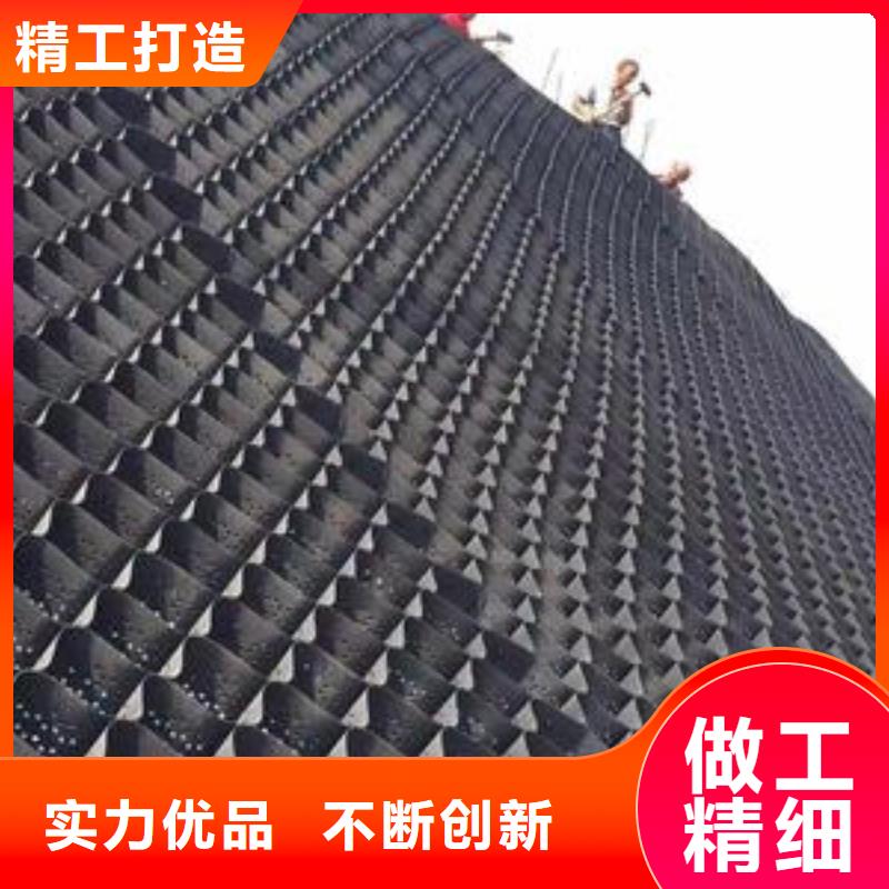 【土工格室】HDPE土工膜源頭工廠產(chǎn)地源頭好貨