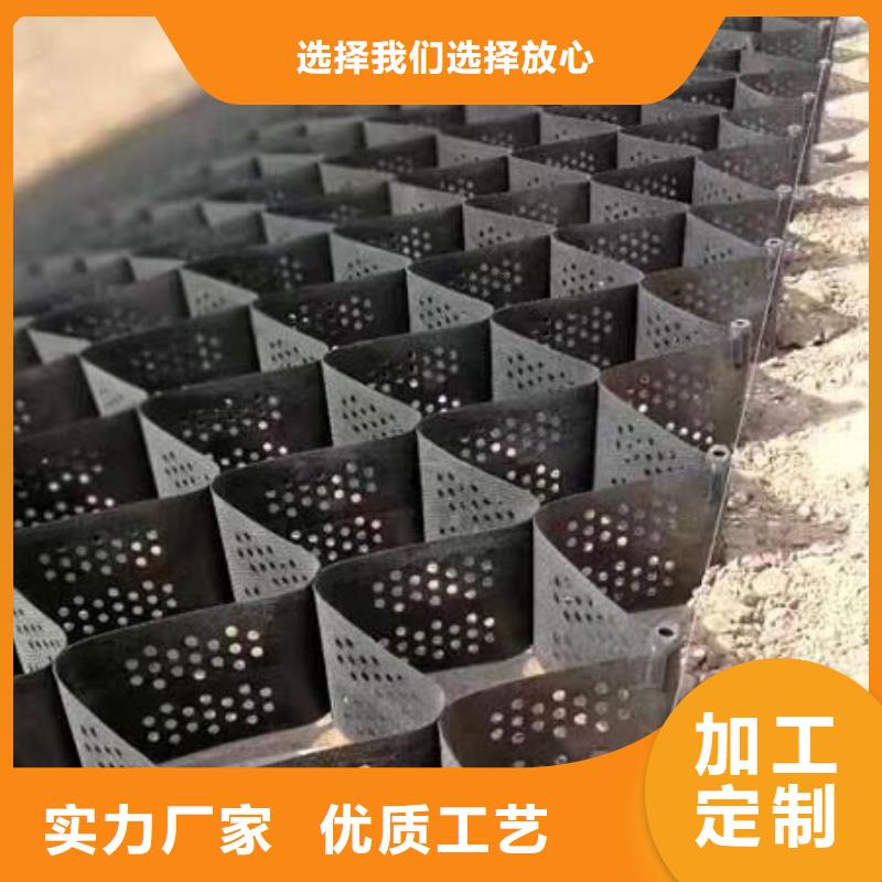 土工格室单向塑料土工格栅原料层层筛选实力公司