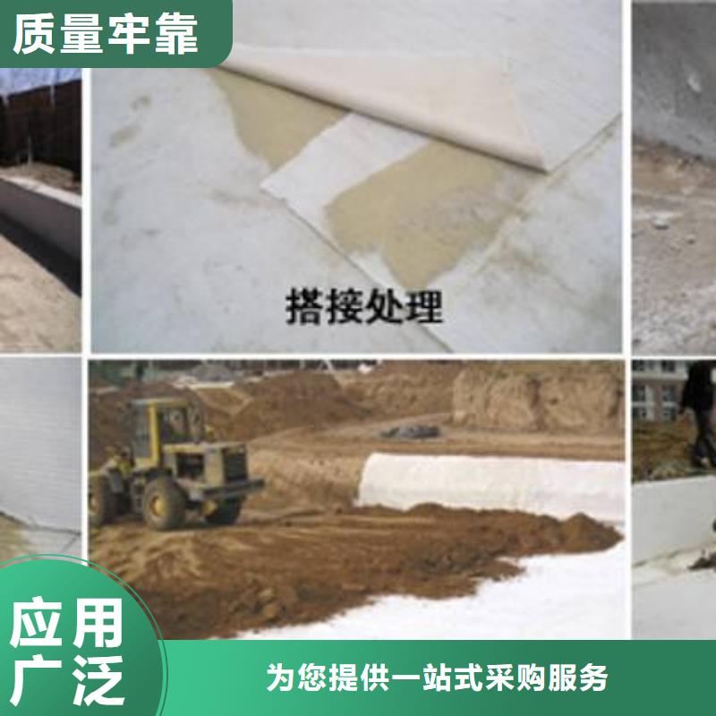 【膨润土防水毯-PP焊接土工格栅实体厂家支持定制】真诚合作