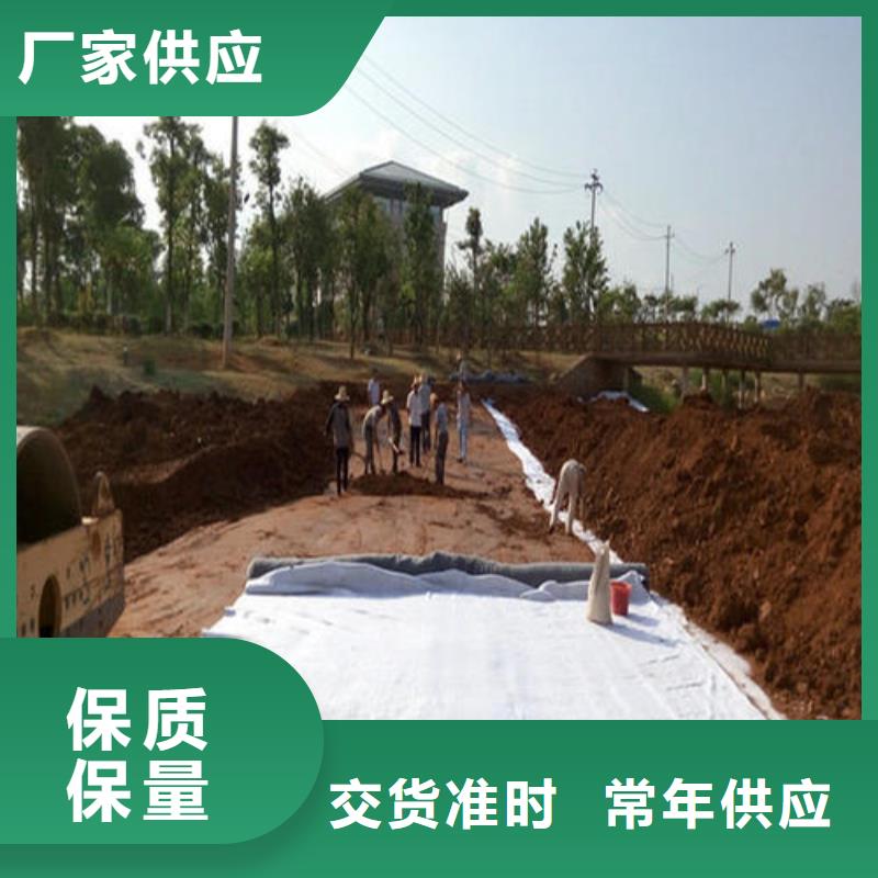 膨润土防水毯【涤纶土工格栅】适用范围广匠心品质