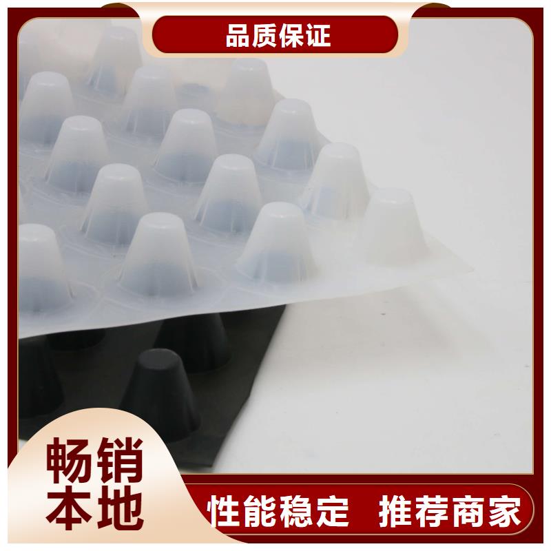 排水板_复合土工膜专业按需定制买的放心安兴用的舒心