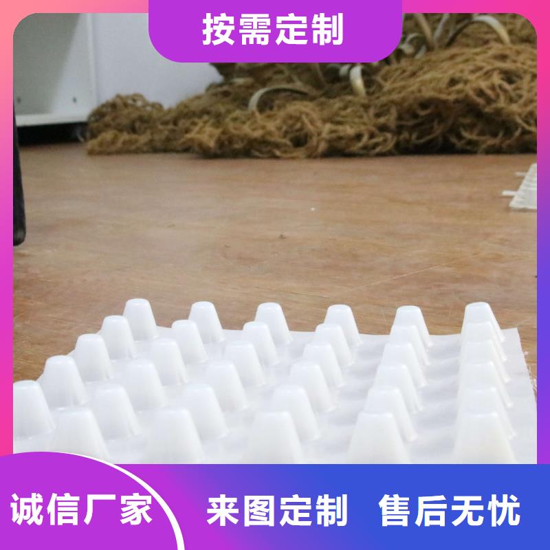 排水板三维植被网实时报价厂家直销售后完善