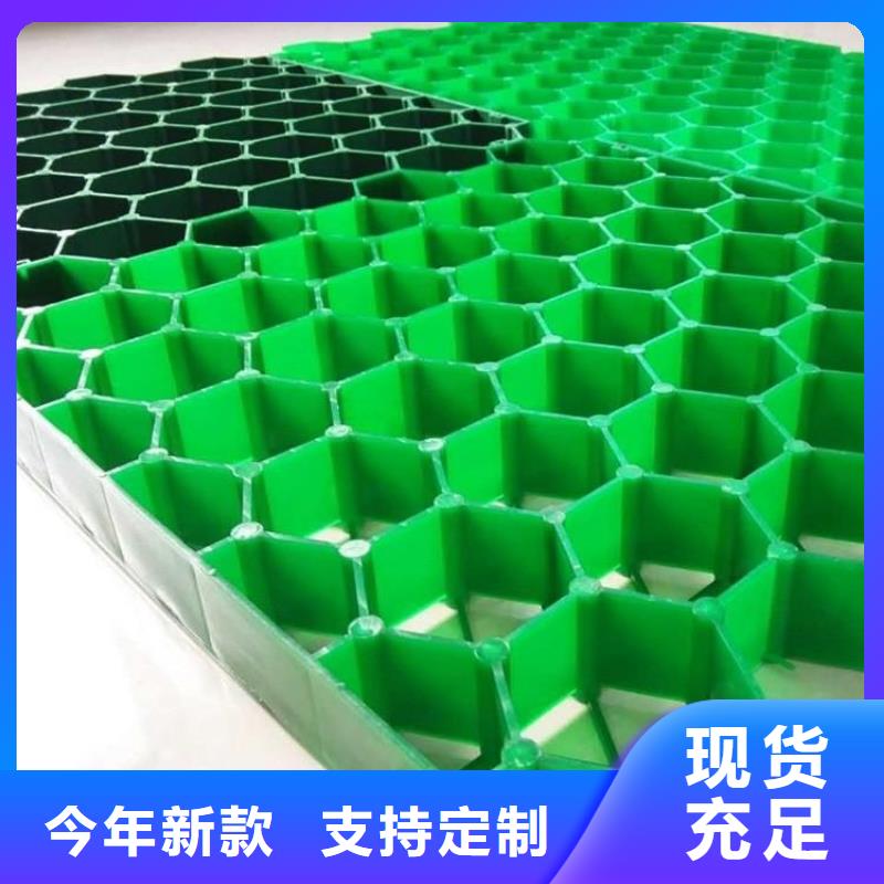 植草格-【三维土工网垫】工期短发货快量少也做