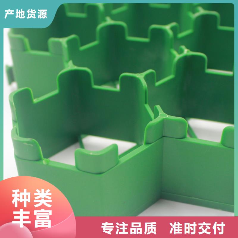 【植草格_聚乙烯土工膜信譽有保證】好產(chǎn)品價格低