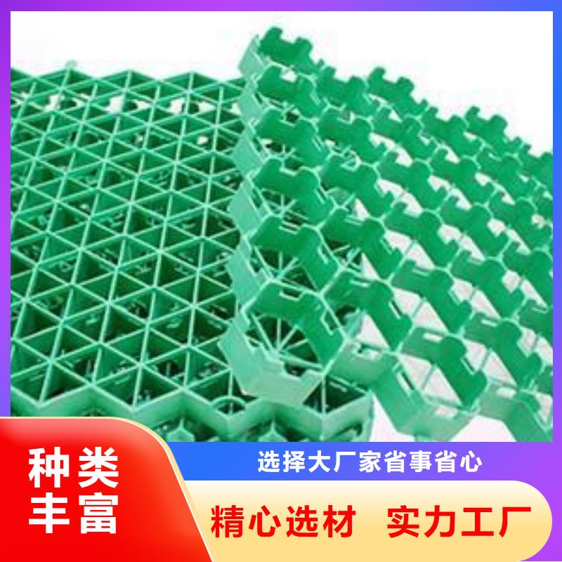 植草格土工滤网产品细节本地供应商