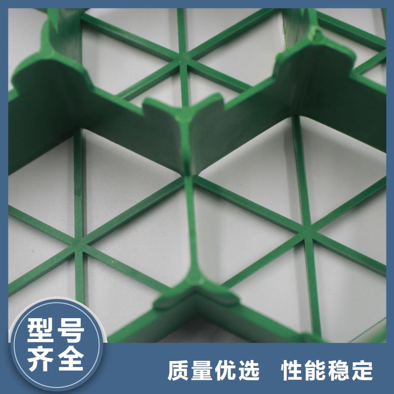 【植草格】玻纤土工格栅应用范围广泛厂家直销大量现货