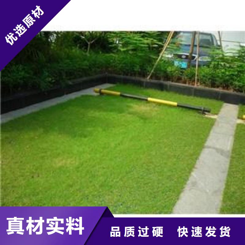 【植草格】_长丝土工布好品质售后无忧当地货源