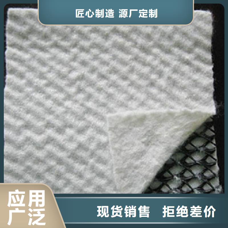 三维复合排水网HDPE土工膜我们更专业N年专注