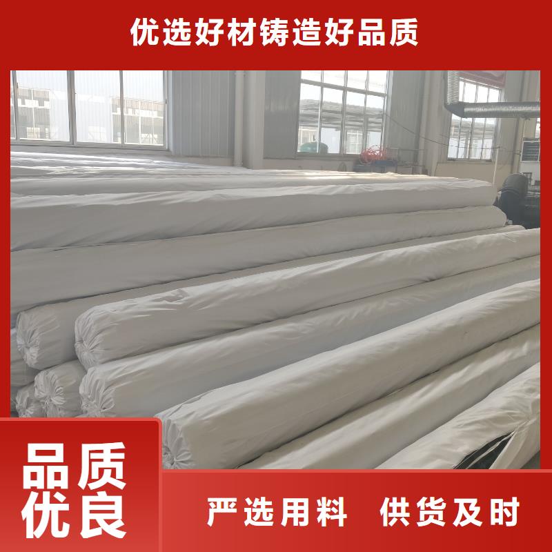 鋼塑土工格柵【塑料土工格柵】多年實(shí)力廠家[本地]品牌