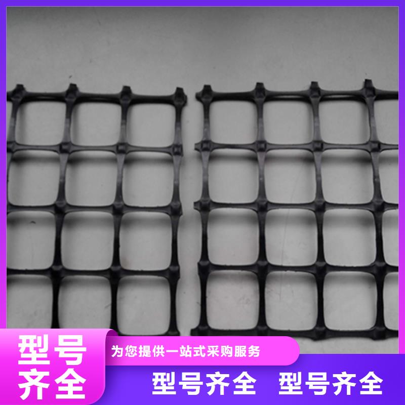 塑料土工格柵養(yǎng)護土工布卓越品質保障同城生產廠家