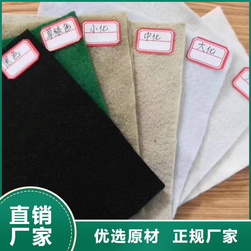 土工布雙向土工格柵品質(zhì)卓越誠(chéng)信經(jīng)營(yíng)