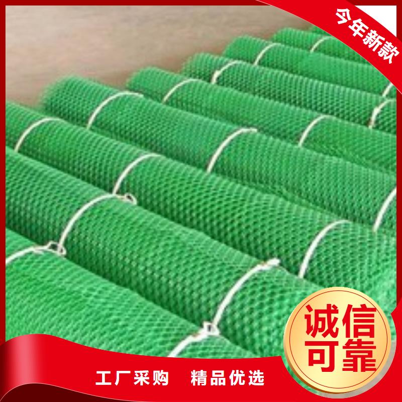 【三维植被网】防渗膜精品优选常年出售