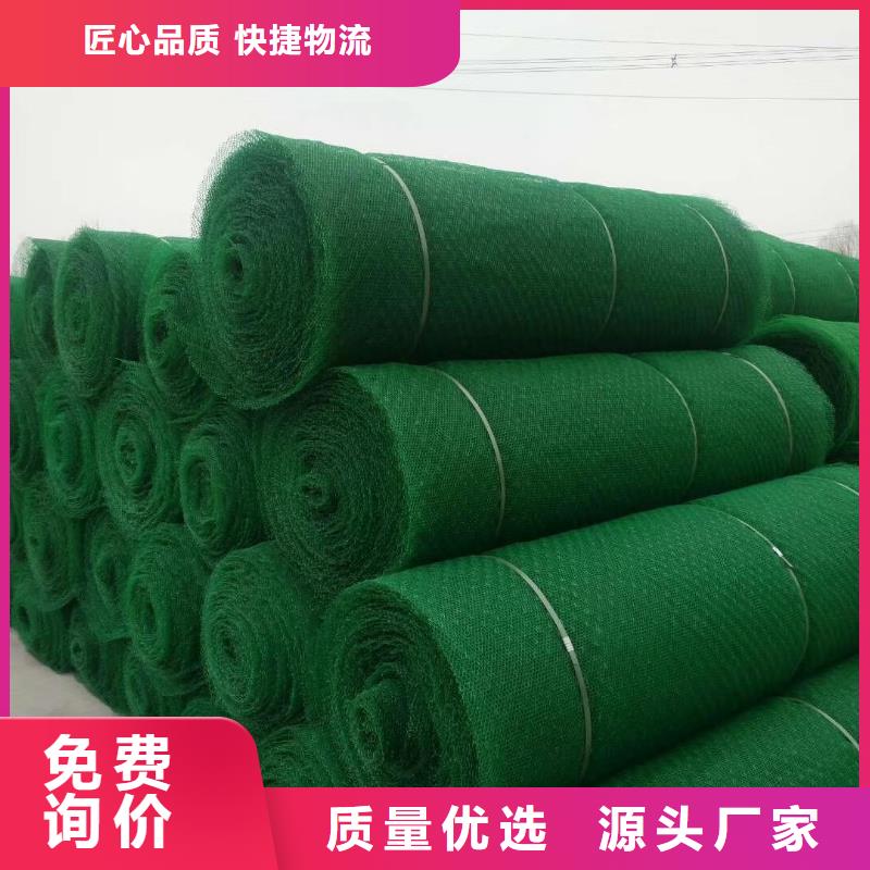 邊坡防護(hù)三維植被網(wǎng)廠家直供廠家質(zhì)量過硬