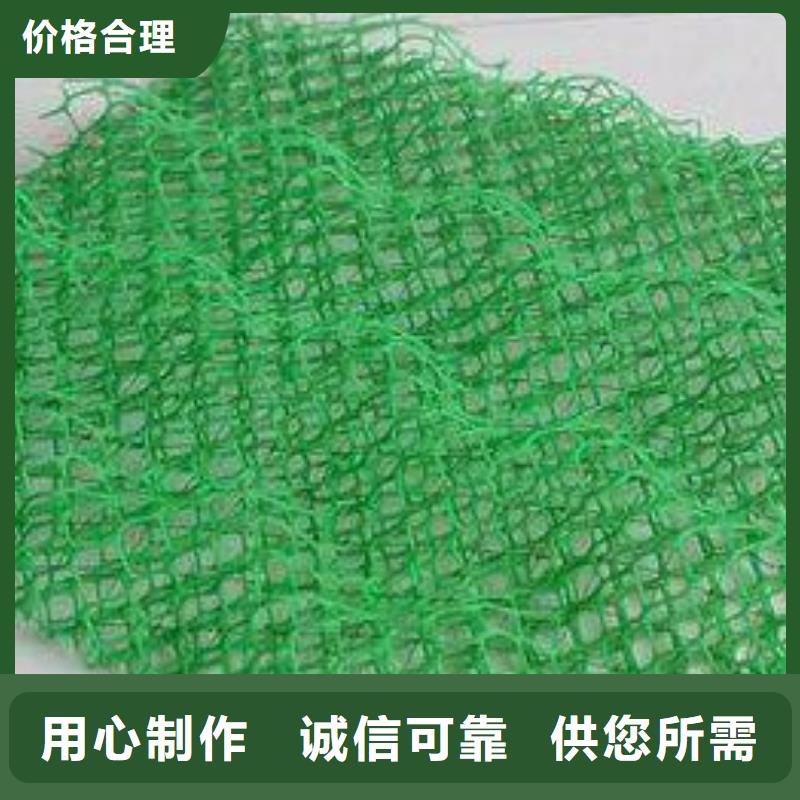 三维植被网复合土工膜市场报价本地供应商