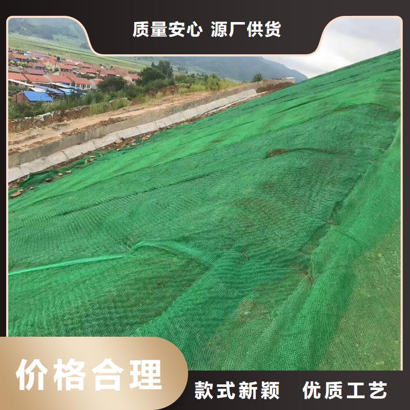 2025三维植被网垫施工方法质优价保