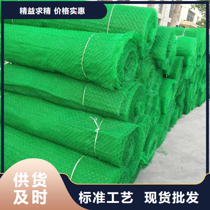 【三維植被網(wǎng)】HDPE土工膜用心做品質有口皆碑