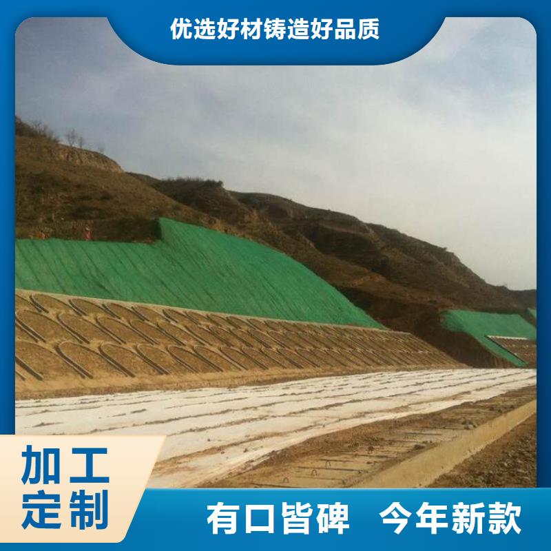 2025塑料三維植被網(wǎng)本年度報(bào)價(jià)信譽(yù)有保證